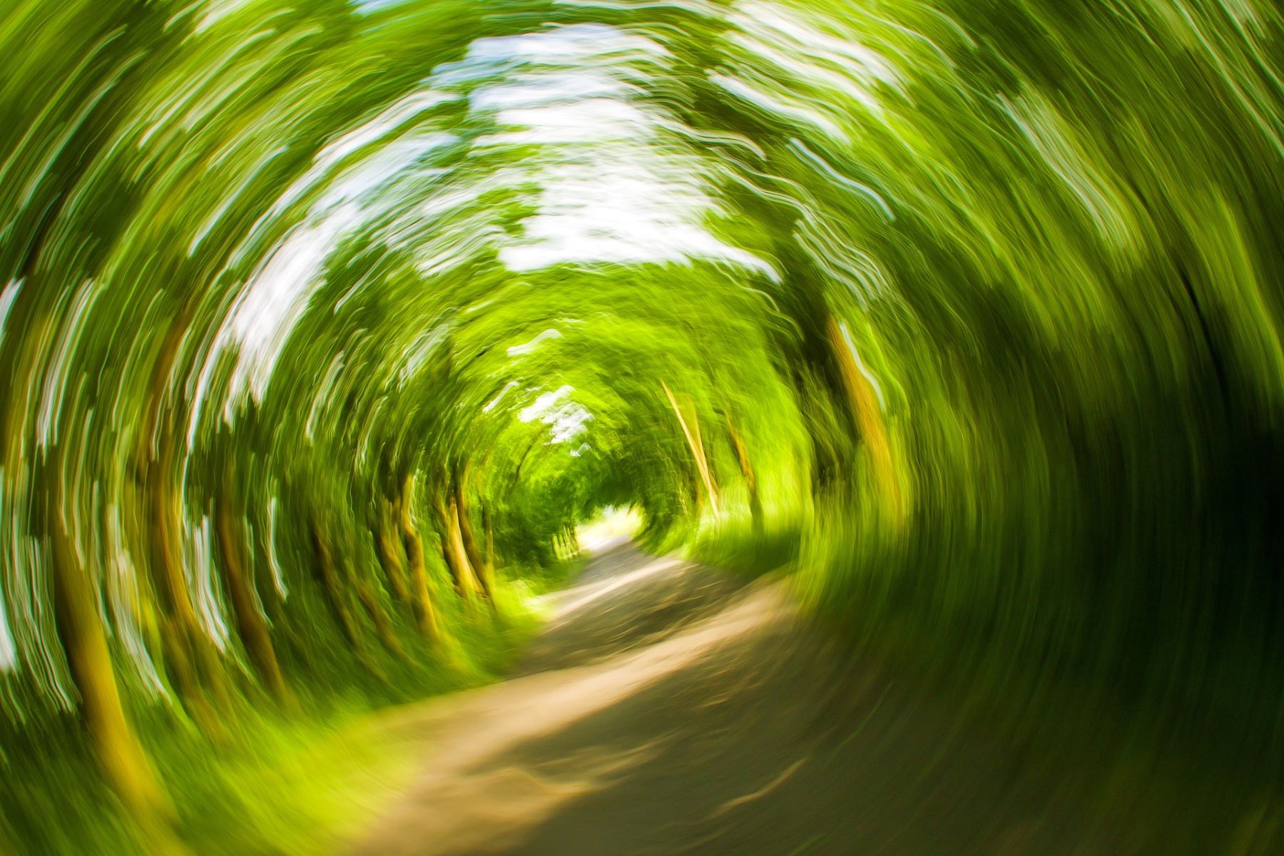 A blurry tunnel view of trees
